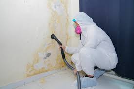 Best Mold Remediation for Healthcare Facilities  in Fairview, CA